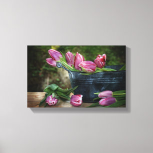 Delicate pink tulips canvas print