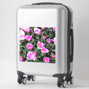 Delicate Pink Tulips of Istanbul Sticker