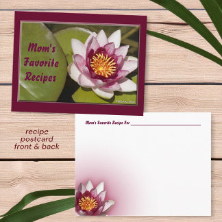 Delicate Pink Water Lily Flower Photo Recipe Postcard