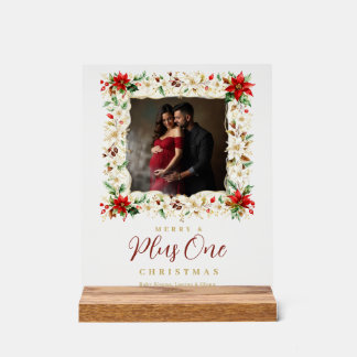 Delicate Poinsettia Baby Christmas Frame MH26 Acrylic Sign