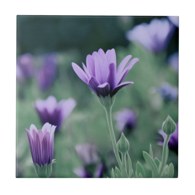 Delicate Purple Lavender Flowers Ceramic Tile (Front)