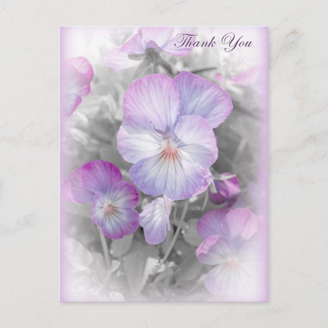 Delicate Purple Pansies Thank You Postcard (Front)
