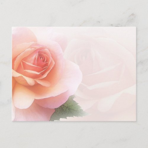 Delicate Rose All Occasion Post Card