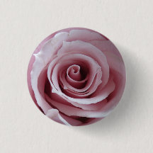 Delicate Rose Button
