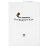 Delicate Rose In Green Flower Art Photo Card (Back)