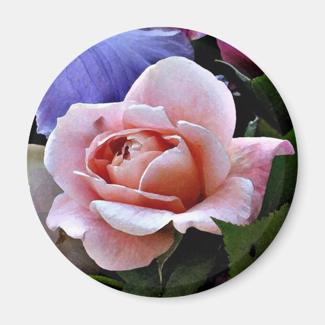 Delicate Rose Magnet (Front)