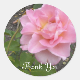 Delicate Rose Thank You Classic Round Sticker