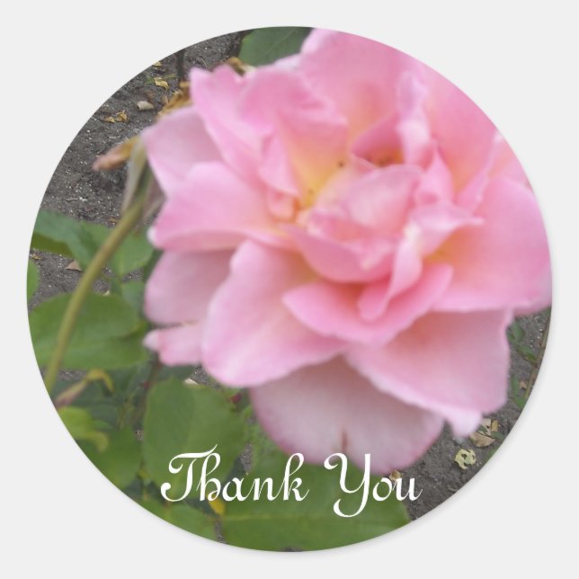 Delicate Rose Thank You Classic Round Sticker (Front)