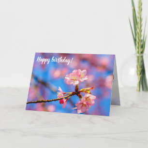 Delicate Sakura Beauty Against The Blue Sky Card