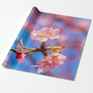 Delicate Sakura Beauty Against The Blue Sky Wrapping Paper