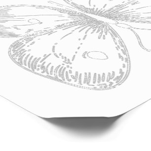 Delicate Sketch Butterfly Temporary Tattoos