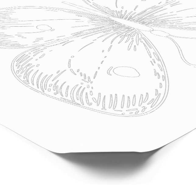 Delicate Sketch Butterfly Temporary Tattoos (Angled)