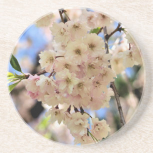 Delicate Spring Blossoms Floral Coaster