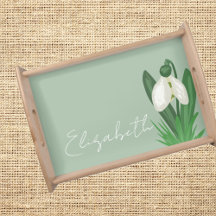 Delicate Spring Snowdrop Flower 