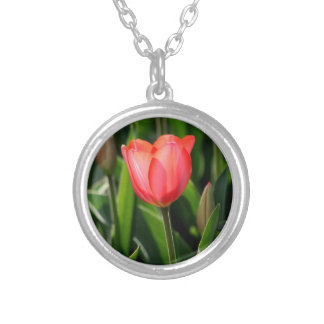 Delicate Tulip Silver Plated Necklace