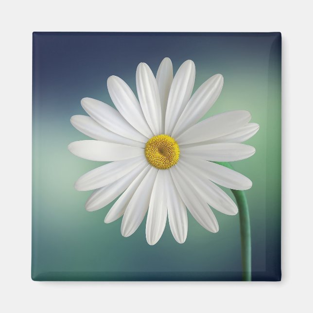Delicate White Daisy Magnet (Front)