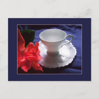 Delicate White Demitasse Postcard
