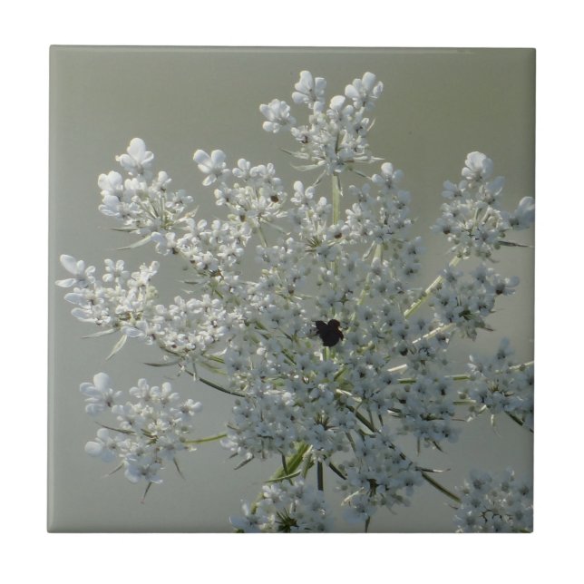 Delicate white flowers ceramic tile (Front)
