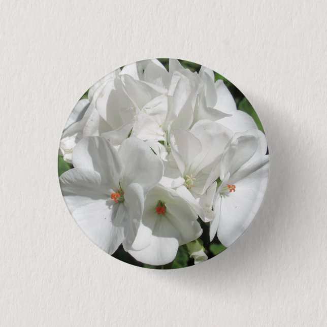 Delicate White Geranium Flower Photo   Button (Front)