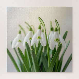 Delicate White Snowdrop Flowers Spring Bloom Jigsaw Puzzle