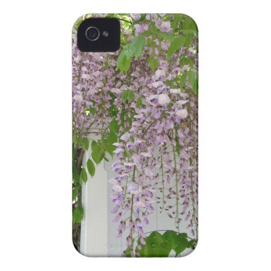 Delicate Wisteria ~ iPhone 4 CaseMate Barely There Case-Mate iPhone Case (Back)