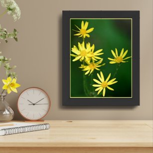 Delicate Yellow Daisy Wildflowers Framed Framed Art