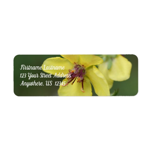 Delicate Yellow Flower Close Up Address Label (Front)