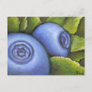 Delicious Blueberries Postcard