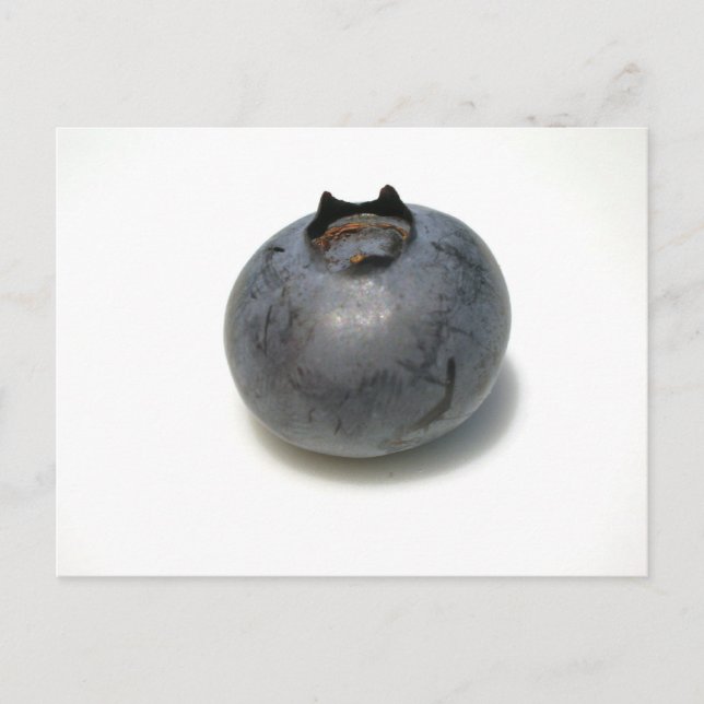 Delicious Blueberry Postcard (Front)