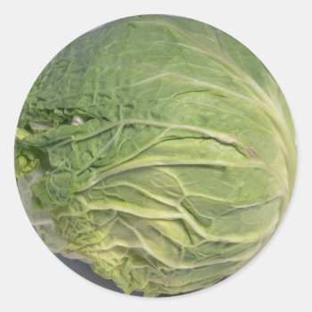 Delicious Cabbage Classic Round Sticker by inspirelove at Zazzle