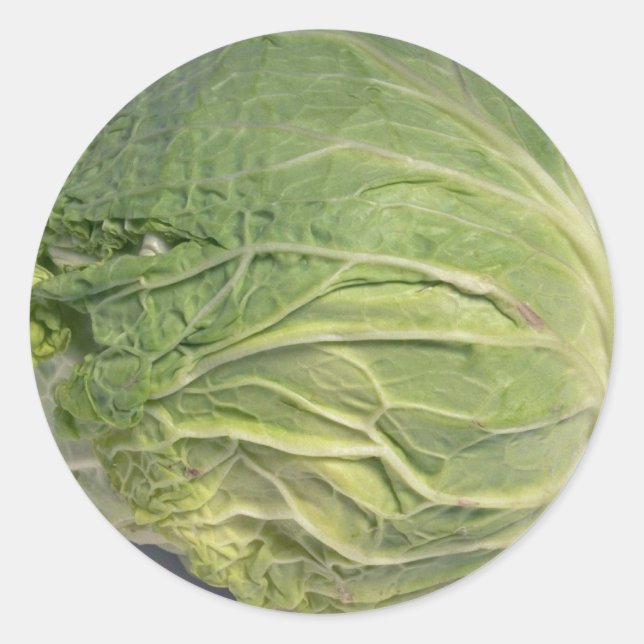 Delicious Cabbage Classic Round Sticker (Front)