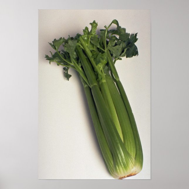 Delicious Celery stalk Poster (Front)