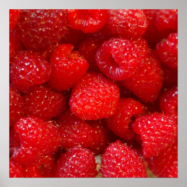Delicious cute dark pink raspberry photograph poster (Front)