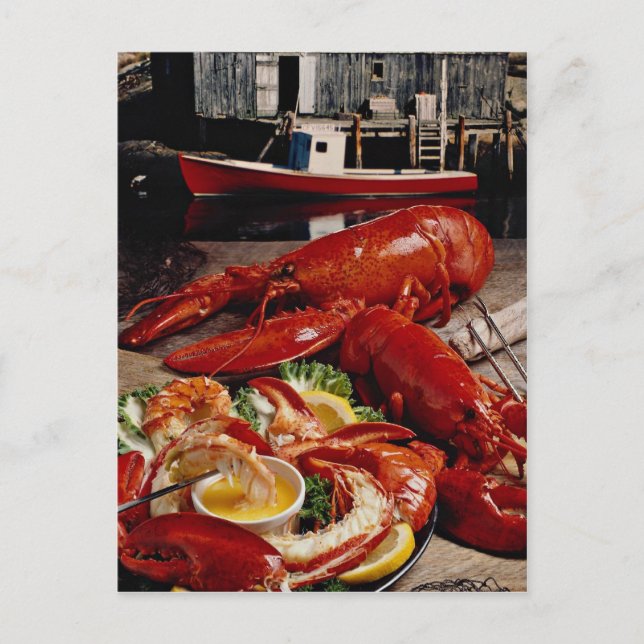 Delicious Fresh Atlantic lobster dinner on the fis Postcard (Front)