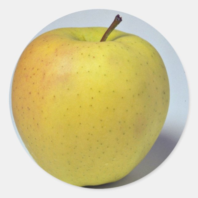 Delicious Golden Delicious apple Classic Round Sticker (Front)