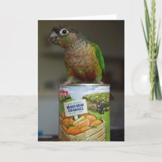 delicious mandarin card