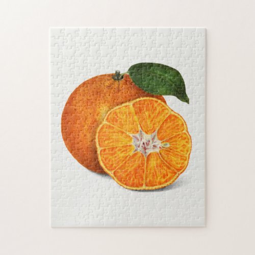 Delicious Orange Tangerine Fruit Painting Jigsaw Puzzle