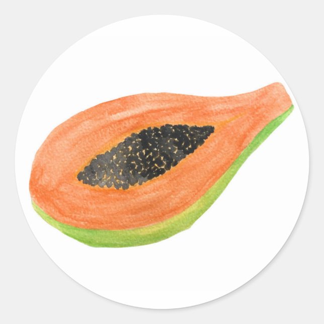 Delicious Painted Papaya Stickers!  Classic Round Sticker (Front)