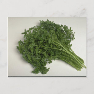 Delicious Parsley Postcard