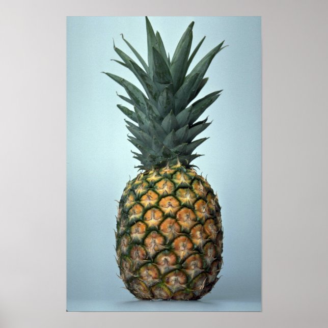 Delicious Pineapple Poster (Front)