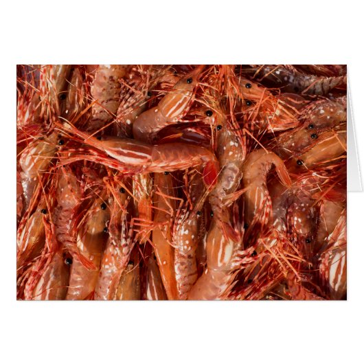 Delicious Prawns Cards (Front Horizontal)
