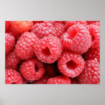 Delicious Raspberries Poster by TheArtOfPamela at Zazzle