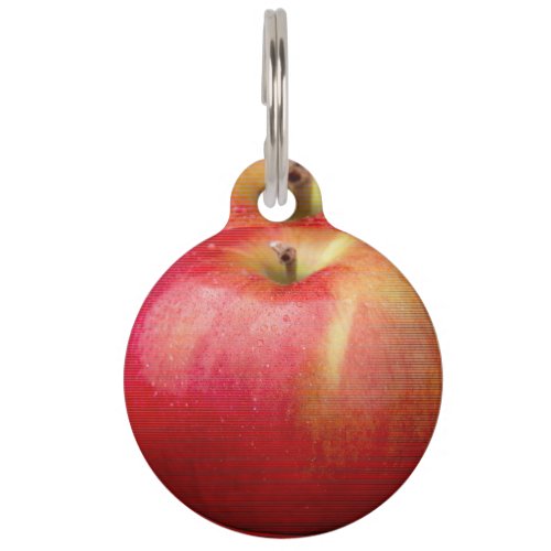 DELICIOUS RED APPLE PET TAG