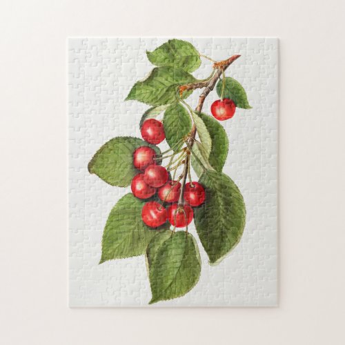 Delicious Red Cherries Fruit Watercolor Painting Jigsaw Puzzle