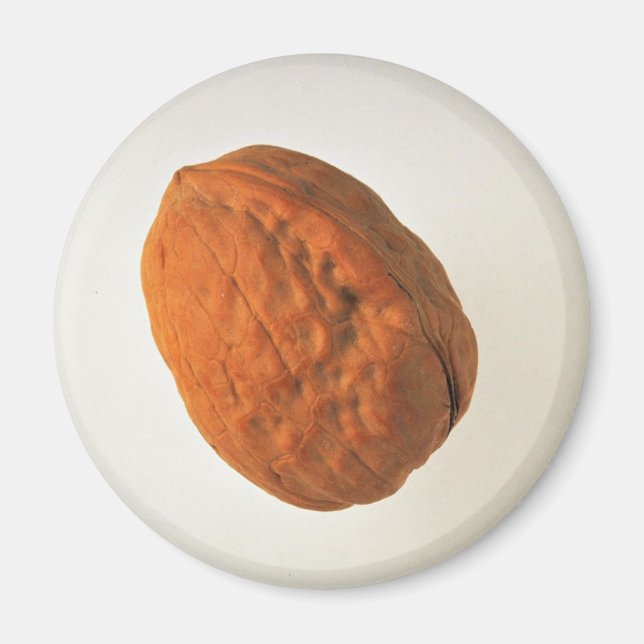 Delicious Walnut Magnet (Front)