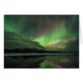 Delightful Aurora (Front Horizontal)