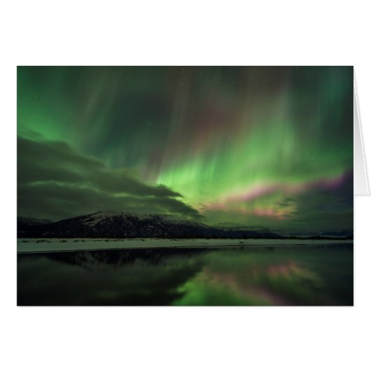 Delightful Aurora (Front Horizontal)