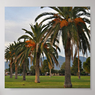 Delightful Date-trees Poster