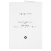 Delightful Dogwoods Cards (Back)