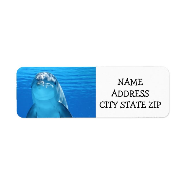 **DELIGHTFUL DOLPHIN** ADDRESS LABELS (Front)